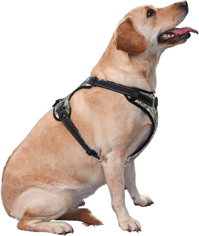 No Pull Dog Harness for Medium Dogs Easy Walk Dog Vest Adjustable Collars Harnesses & Leashes Set Breathable Oxford Outdoor Walking Safety Reflective Strip Dollar Cash Prints