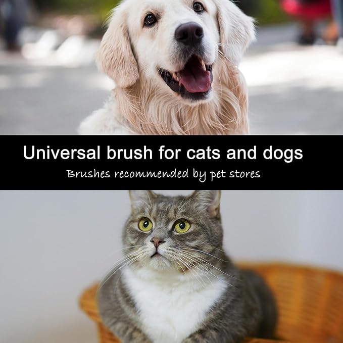 Long Pin Slicker Brush for Dogs (Goldendoodles, Labradoodles, Poodles) and Long Hair cat， Best Grooming Brush for Small Animals ，for Grooming Pet Hair， Beech Wood