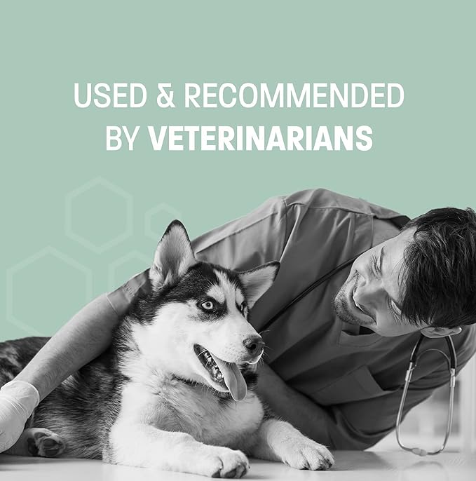 Aloe & Oatmeal Pet Wipes for Cats and Dog Wipes for Paws and Butt - Gentle Cleansing Pet Wipes for Dogs Skin & Coat - Cat and Dog Wipes Cleaning Deodorizing - Pina Colada Scent - 60 ct