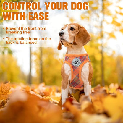 BEAUTYZOO Step in Dog Harness and Leash Set, Reflective Dog Harness No Pull No Choke Puppy Harness for Extra Small Dogs Cats, Soft Padded Mesh Vest Harnesses for Girl and Boy Pets, Orange Plaid M