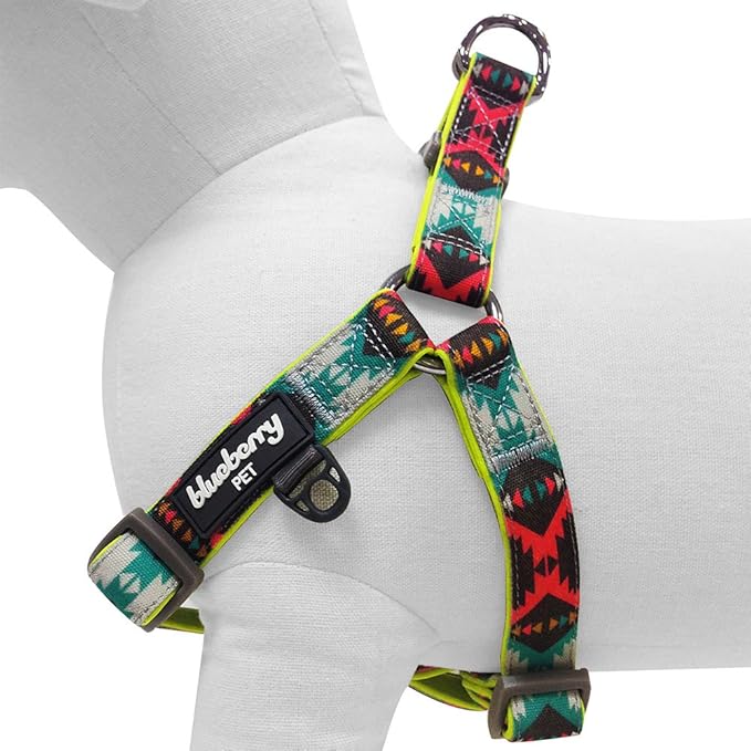 Blueberry Pet 2 Colors Soft & Comfy Step-in Southwestern Vintage Tribal Print Padded Dog Harness, Chest Girth 23.5" - 29.5", Extravagant Green, M/L, Adjustable Harnesses for Dogs
