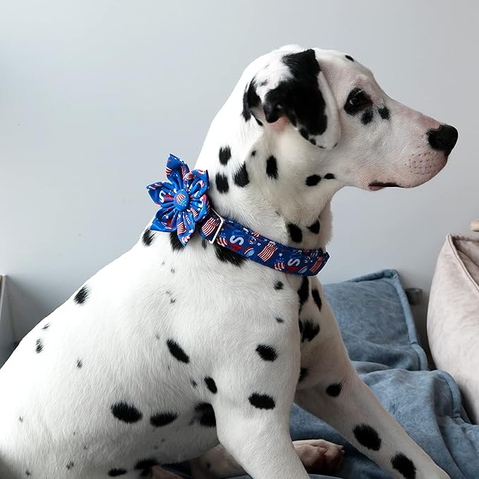 Lionet Paws Patriotic Female Dog Collar with Flower, 4th of July, Soft and Comfortable Adjustable American Flag Collar for Dogs, Small, Neck 10-16 inches