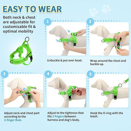 SlowTon No Pull Small Dog Harness and Leash Set, Puppy Soft Vest Harness Neck & Chest Adjustable, Reflective Lightweight Harness & Anti-Twist Pet Lead Combo for Small Medium Dogs (G-Front Clip,XXS)