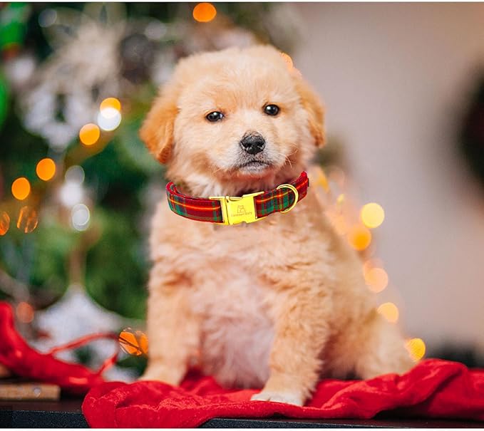 Lionheart glory Christmas Plaid Dog Collar, Dogs Collar Adjustable Soft and Comfortable Collars for Medium Dogs Girl or Boy Pet Gift Fall Collar Dog
