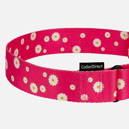 CollarDirect Martingale Collars for Dogs Heavy Duty Floral Pattern Female Safety Nylon Training Wide Collar Flower Design Large Medium (L, Neck Size 15"-20", Pink)