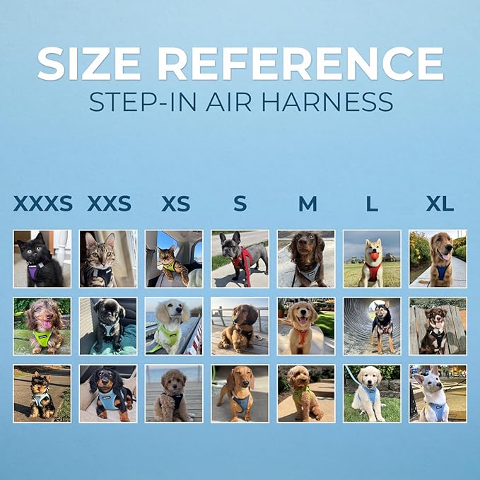 Voyager Step-in Air Dog Harness - All Weather Mesh, Reflective, No Pull Harness for Small, Medium Dogs, Cats - Secure with Hook & Loop Fastener, Buckle, Double D-Rings - Lime Green 2-Tone, L