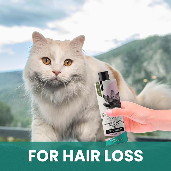 Holistic Natural Derived Lotus and White Tea Pet Shampoo: Veterinarian Recommended - Remove Dirt, Cleanse and Restore Your Dog, Cat or Horse Coat - Made in USA - 16 oz