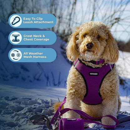 Voyager Step-in Air Dog Harness - All Weather Mesh, Reflective, No Pull Harness for Small, Medium Dogs, Cats - Secure with Hook & Loop Fastener, Buckle, Double D-Rings - Purple/Black Trim, S