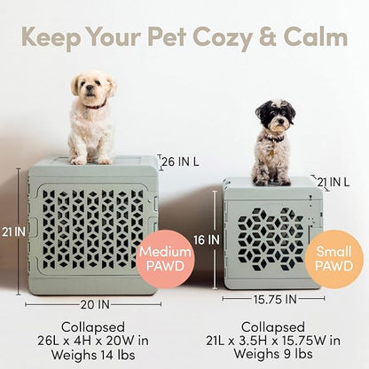 KindTail PAWD Collapsible Puppy and Dog Crate + Washable Bed - Stylish Pet Kennel with Comfortable Pad - Safe Indoor Set - Lightweight, Compact & Portable for Travel - Small White