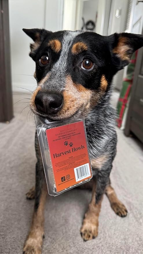 Harvest Howls Pet Odor Eliminator - All Natural, Non-Toxic, Pure Soy Wax Melts - Dog & Cat Safe, Veterinarian Approved