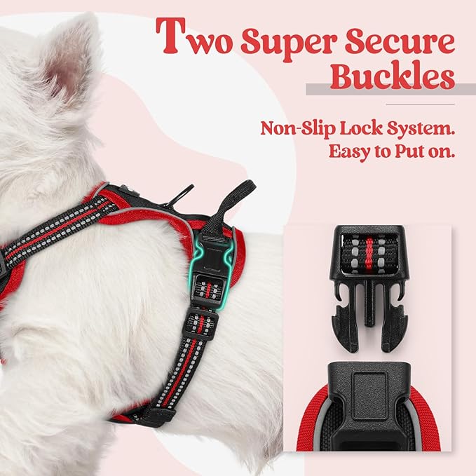 rabbitgoo Dog Harness, No-Pull Pet Harness with 2 Leash Clips, Adjustable Soft Padded Dog Vest, Reflective No-Choke Pet Oxford Vest with Easy Control Handle for Large Dogs, Black & Red, X-Small