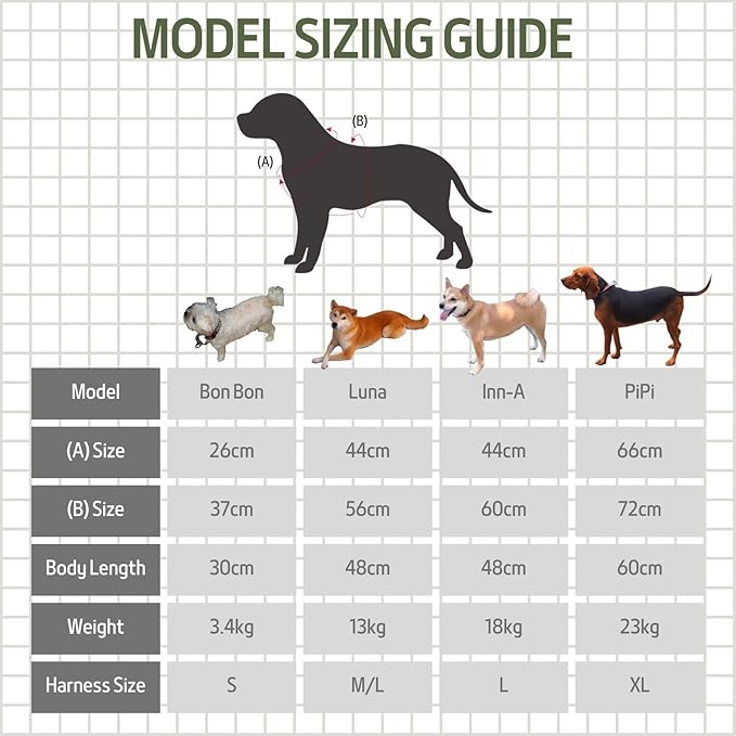 Casual H Dog Harness, No-Pull Pet Harness with 2 Leash Clips, Twilight Forest Gradiant Color, Adjustable Soft Padded Dog Vest for Small Medium Large Dogs (M)