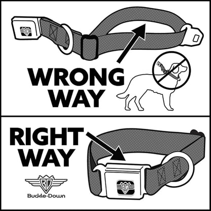 Cartoon Network Easy Adjustable Metal Seatbelt Buckle Quick Release Dog Collar, Adventure Time Marcelines Axe Bass Guitar Scattered Gray, 20 to 31 Inches 1.5 Inch Wide