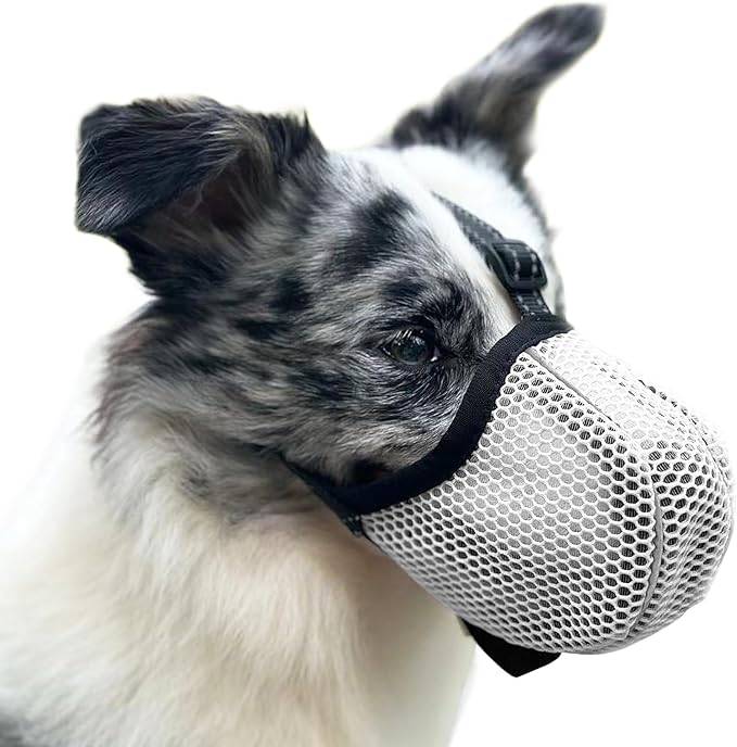 Large Dog Muzzle, Muzzle for Large Dogs to Prevent Eating/Chewing/Biting, Breathable Reflective Adjustable Medium Dog Accessories Dog Muzzle (Grey, XL)