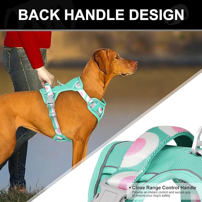 No Pull Dog Harness and Leash Set,Reflective Dog Harness with Easy Control Soft Handle,Adjustable and Comfortable for Easy Walking,Fit Small Medium Large Breed Dogs,Blue,M