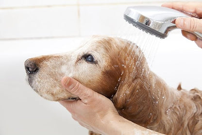 Pet Silk Hypoallergenic Shampoo, Free of Dyes and Fragrances, Specially Designed for Pet's with Sensitive Skin, Infused with Keratin, Achieve a Strong, Healthy & Smooth Coat for Your pet! (16oz)