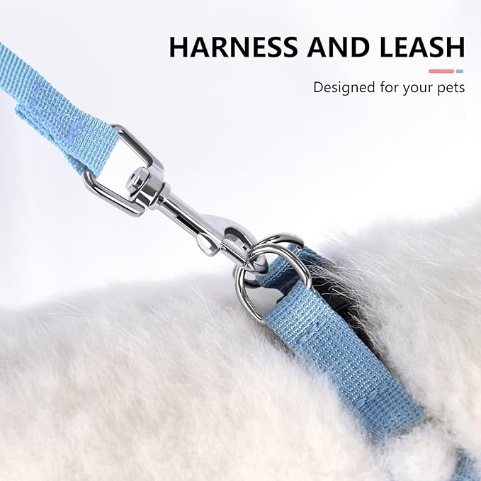 Beirui Small Dog Harness and Leash Set, No Pull Step-in Harness for Puppy, Lightweight Air Mesh Pet Harness for Small Dogs (Rose, S)