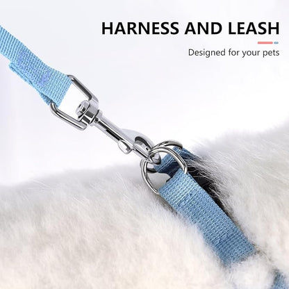 Beirui Small Dog Harness and Leash Set, No Pull Step-in Harness for Puppy, Lightweight Air Mesh Pet Harness for Small Dogs (Rose, S)
