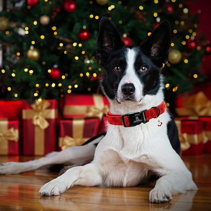 Lionheart glory Christmas Dog Collar, Red Dogs Collar Adjustable Soft Comfortable Collars for Small Dogs Girl or Boy Pet Gift Fall Cute Collar
