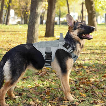 rabbitgoo Tactical Dog Harness for Large Dogs, Heavy Duty Dog Harness with Handle, No-Pull Service Dog Vest Large Breed, Adjustable Military Dog Vest Harness for Training Hunting Walking, Grey, L
