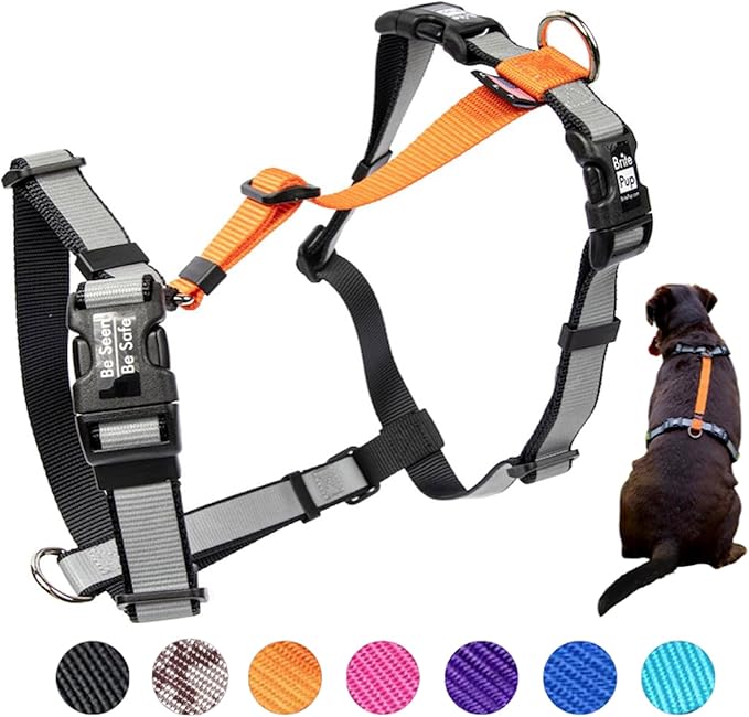 No Pull Harness with Fully Customizable Fitment for Small Dogs - 3M Reflective Heavy Duty Harness for Walking & Training - No Choke Comfortable Collar Design, Made in USA S-Orange