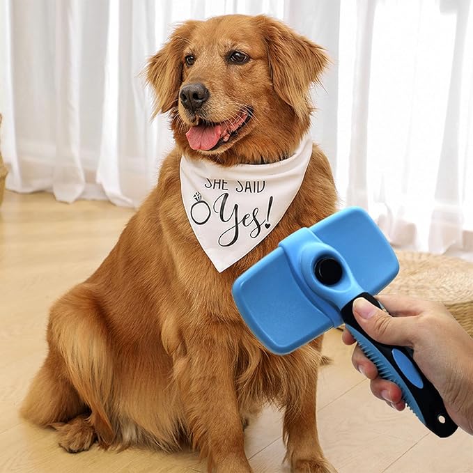Self Cleaning Slicker Brush for Dog, Cats, Skin Friendly Deshedding Grooming Tool for Dogs & Cats, Suitable for Shedding & Haired Pets, with Pet Supplies Accessories, Blue