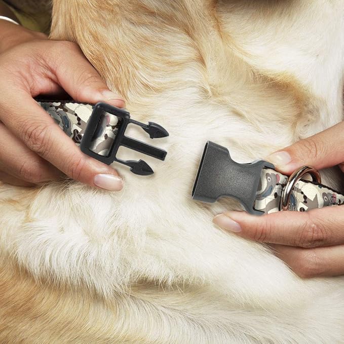 Buckle-Down Dog Collar Plastic Clip Avatar The Last Airbender Appa Pose Stacked 7 to 8.5 Inches 0.5 Inch Wide