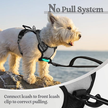 rabbitgoo Dog Harness, No-Pull Pet Harness with 2 Leash Clips, Adjustable Soft Padded Dog Vest, Reflective No-Choke Pet Oxford Vest with Easy Control Handle for Small Dogs, Grey, XS