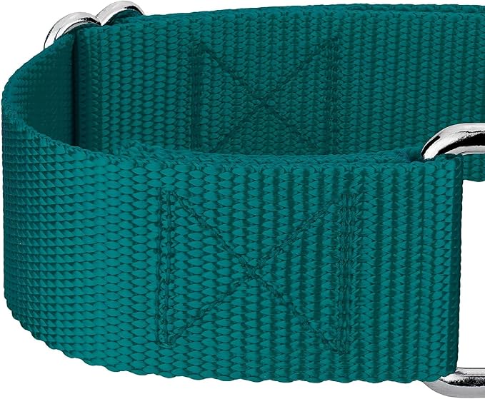 Country Brook Petz 1 1/2 Inch Martingale Heavy Duty Nylon Adjustable Dog Collar for Small, Medium, Large Breeds - Vibrant 17 Color Selection (Teal, Medium)