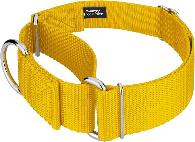 Country Brook Petz 1 1/2 Inch Martingale Heavy Duty Nylon Adjustable Dog Collar for Small, Medium, Large Breeds - Vibrant 17 Color Selection (Gold, Extra Large)