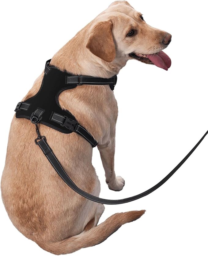 Custom Name Harness for Dog, Customized Pet Harnesses for Large Dogs, Personalized Dog Harness for Small Dog, Custom Pet Vest for Puppy, No Pull Dog Vests Personalization, BlankBlack, L