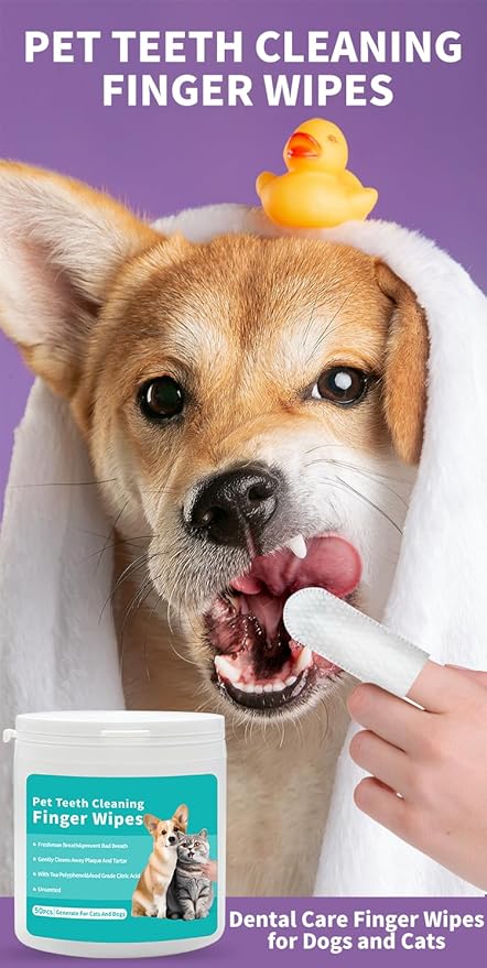 coldchill Pet Teeth Cleaning Finger Wipes, Remove Bad Breath by Removing Plaque and Tartar Buildup, No-Rinse Dogs & Cats Finger Toothbrush, Disposable Gentle Cleaning Care Pet Wipes, 50 Counts