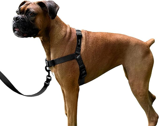 ShawnCo Dream Walk No-Pull Dog Harness- Adjustable, Comfortable, Easy to Use Pet Halter to Help Stop Pulling for Small, Medium and Large Dogs (Midnight, M)