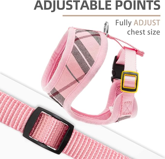 PUPTECK Soft Mesh Dog Harness and Leash Set Pet Puppy Cat Comfort Padded Vest No Pull Harnesses, Old Pink, XXS