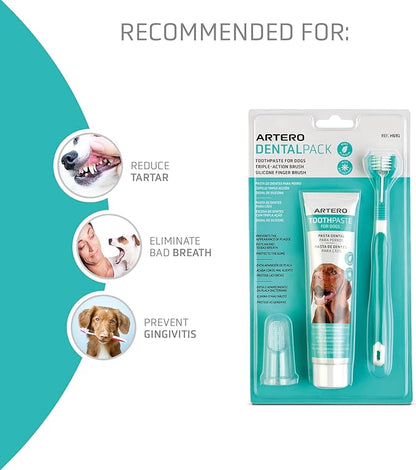 ARTERO Dental Pack Smile