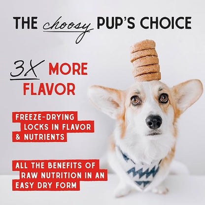 Stella & Chewy's Freeze Dried Raw Dinner Patties – Grain Free Dog Food, Protein Rich Absolutely Rabbit Recipe – 5.5 oz Bag