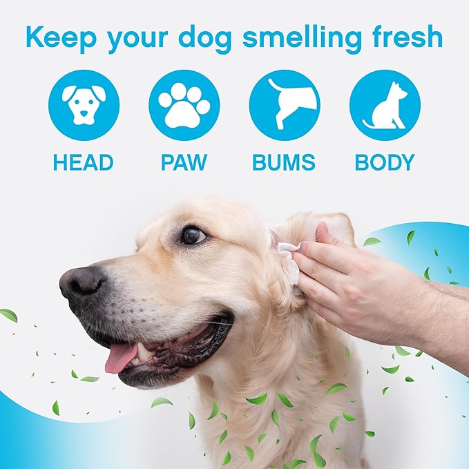 NonScents Dog Grooming Wipes - 75 Deodorizing & Cleaning Dog Wipes - Pet Wipes for Dogs - Fragrance-Free Doggy Wipes for Paws, Butt, Body - Unscented Dog Wipes for Quick Baths