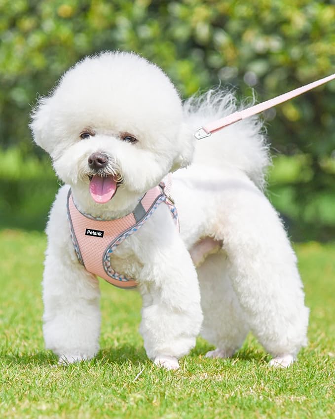Petank Dog Harness for Small Medium Dogs No Pull, Puppy Harness and Leash Set, Easy Walk Dog Harness for Walking, Running, Training, Small Dog Harness, Medium Dog Harness (Pink, S)