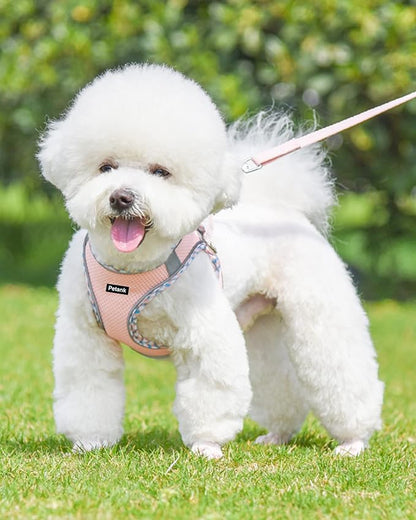 Petank Dog Harness for Small Medium Dogs No Pull, Puppy Harness and Leash Set, Easy Walk Dog Harness for Walking, Running, Training, Small Dog Harness, Medium Dog Harness (Pink, S)