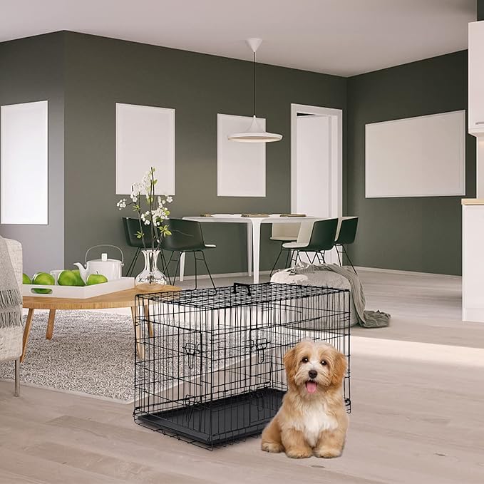 FDW Dog Crate for Small Dogs 24 Inch Folding Metal WirePet Cage Double Door W/Divider Panel Indoor Outdoor Kennel Leak-Proof Plastic Tray,Black
