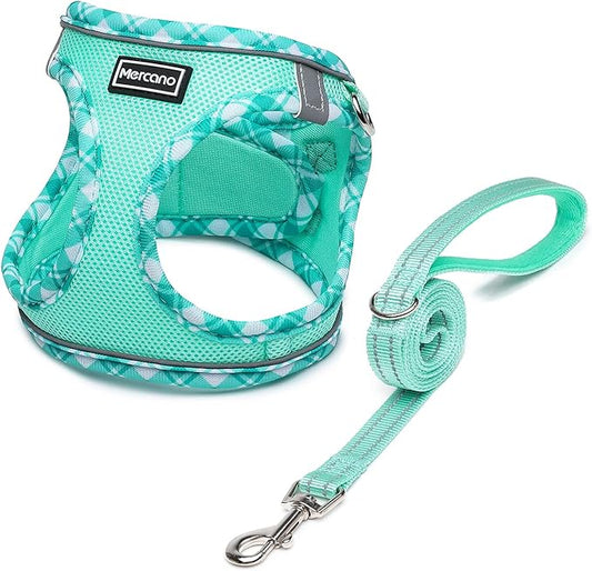 Mercano Soft Mesh Dog Harness and Leash Set, No-Chock Step-in Reflective Breathable Lightweight Easy Walk Escape Proof Vest Harnesses with Safety Buckle for Small Medium Dogs, Cats (Light Green, S)