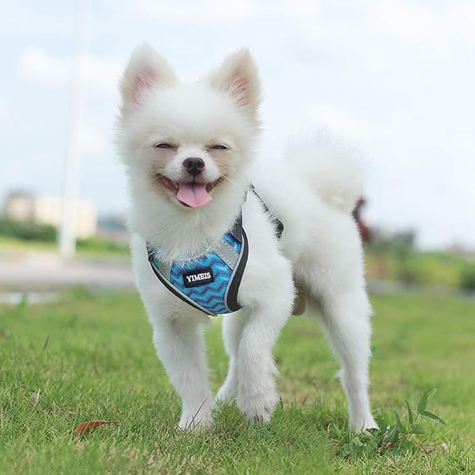 YIMEIS Dog Harness and Leash Set, No Pull Soft Mesh Pet Harness, Reflective Adjustable Puppy Vest for Small Dogs, Cats (S, Blue)