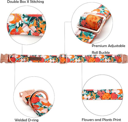 Lionheart glory Premium Floral Dog Collars Spring Dog Collar, Adjustable Heavy Duty Girl Dog Collar for Small Dogs