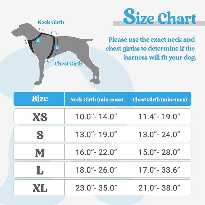 rabbitgoo Dog Harness, No-Pull Pet Harness with 2 Leash Clips, Adjustable Soft Padded Dog Vest, Reflective No-Choke Pet Oxford Vest with Easy Control Handle for Small Dogs, Blue, S