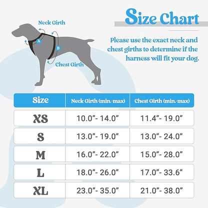 rabbitgoo Dog Harness, No-Pull Pet Harness with 2 Leash Clips, Adjustable Soft Padded Dog Vest, Reflective No-Choke Pet Oxford Vest with Easy Control Handle for Small Dogs, Blue, S