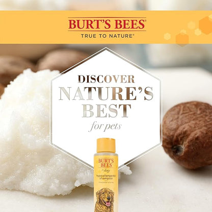 Burt's Bees for Pets Hypoallergenic Shampoo for Dogs with Shea Butter and Honey, 2pk, 95% Natural Origin Formulas, Shampoo for Sensitive Dogs - Gentle Dog Shampoo, 2pk, 16 oz