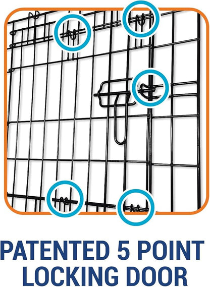 Precision Pet Products One Door Provalue Wire Dog Crate, 36 Inch, For Pets 50-70 lbs, With 5-Point Locking System