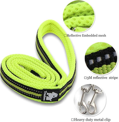 Reflective Nylon No-Pull Dog Harness and Training Leash Set Padded Durable Adjustable(XS, Orange Set)