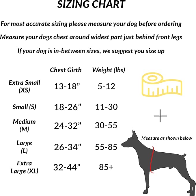 ShawnCo Essential Dog Harness, No-Pull Pet Vest with 3 Leash Clips, No Choke, Reflective, Adjustable and Padded, for Easy Walking and Training for Small, Medium and Large Dogs (Stars and Stripes, XL)