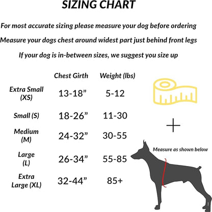 ShawnCo Essential Dog Harness, No-Pull Pet Vest with 3 Leash Clips, No Choke, Reflective, Adjustable and Padded, for Easy Walking and Training for Small, Medium and Large Dogs (Stars and Stripes, XL)